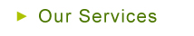 Our Services