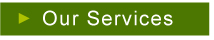 Our Services